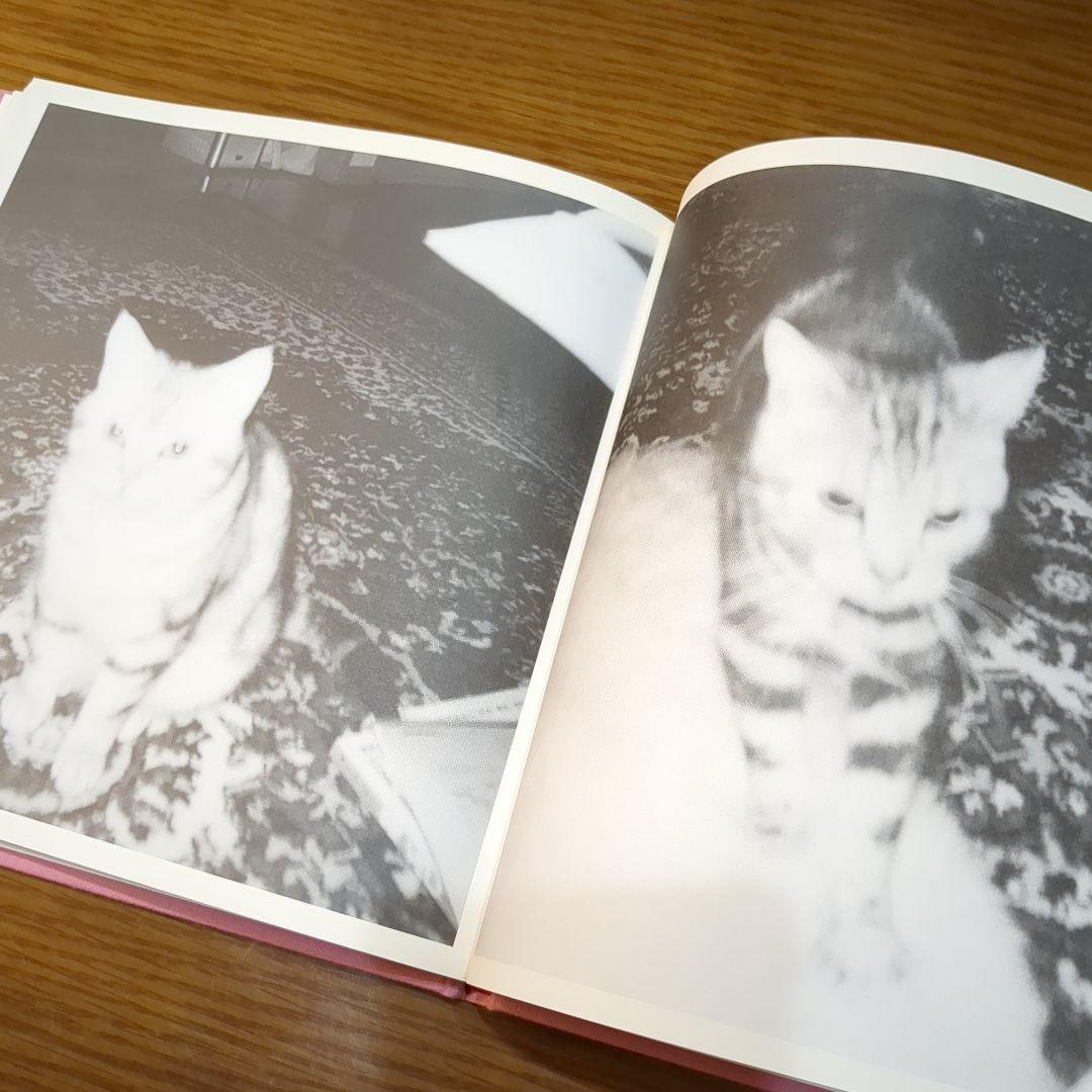 絶版レア品】櫻井敦司 夜想 DVD有り、チラシ付 - メルカリ