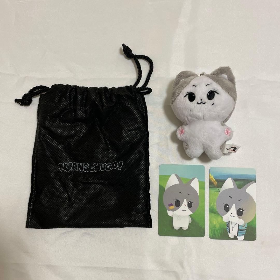 enhypen エナプ ジョンウォン ぬいぐるみ ぬい ドール jungwon - メルカリ