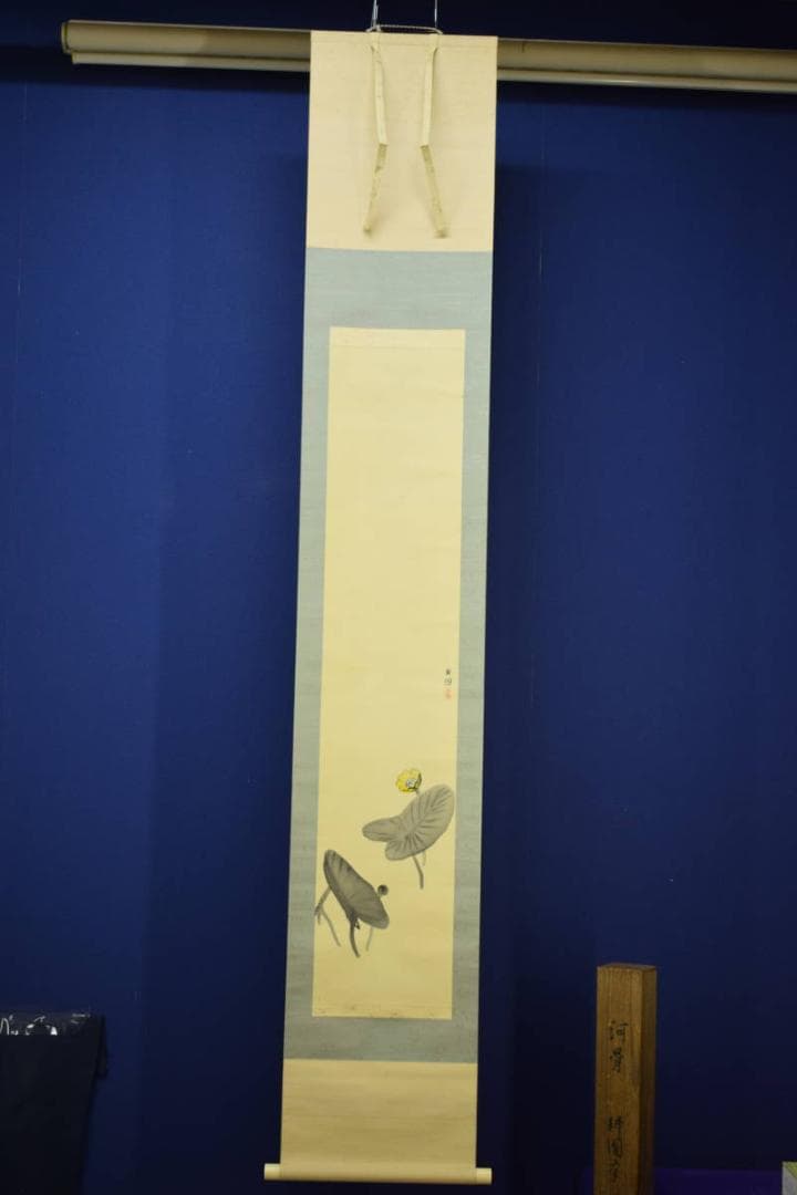 真作/庭山耕園/河骨図/コウホネ図/桐題箱付/布袋屋掛軸