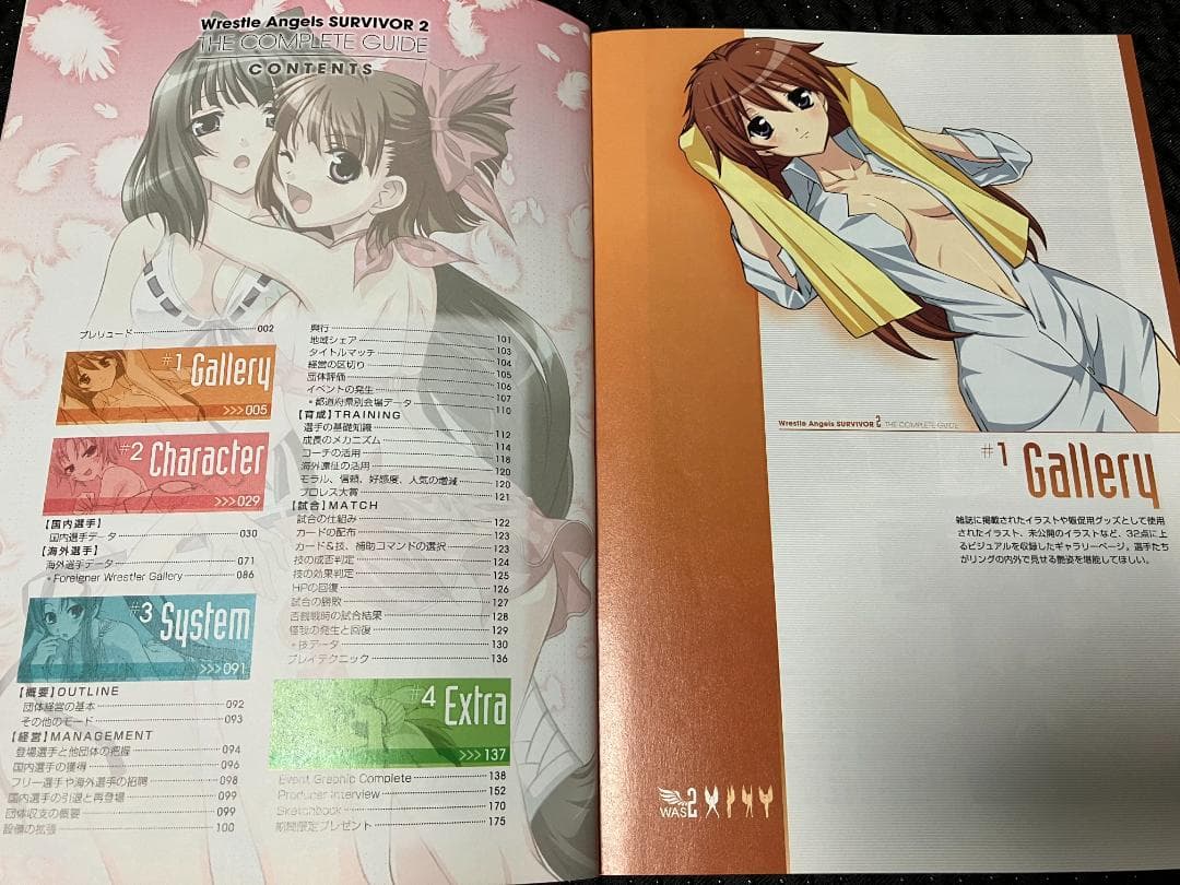 レッスルエンジェルスサバイバー2 ザコンプリートガイド - メルカリ