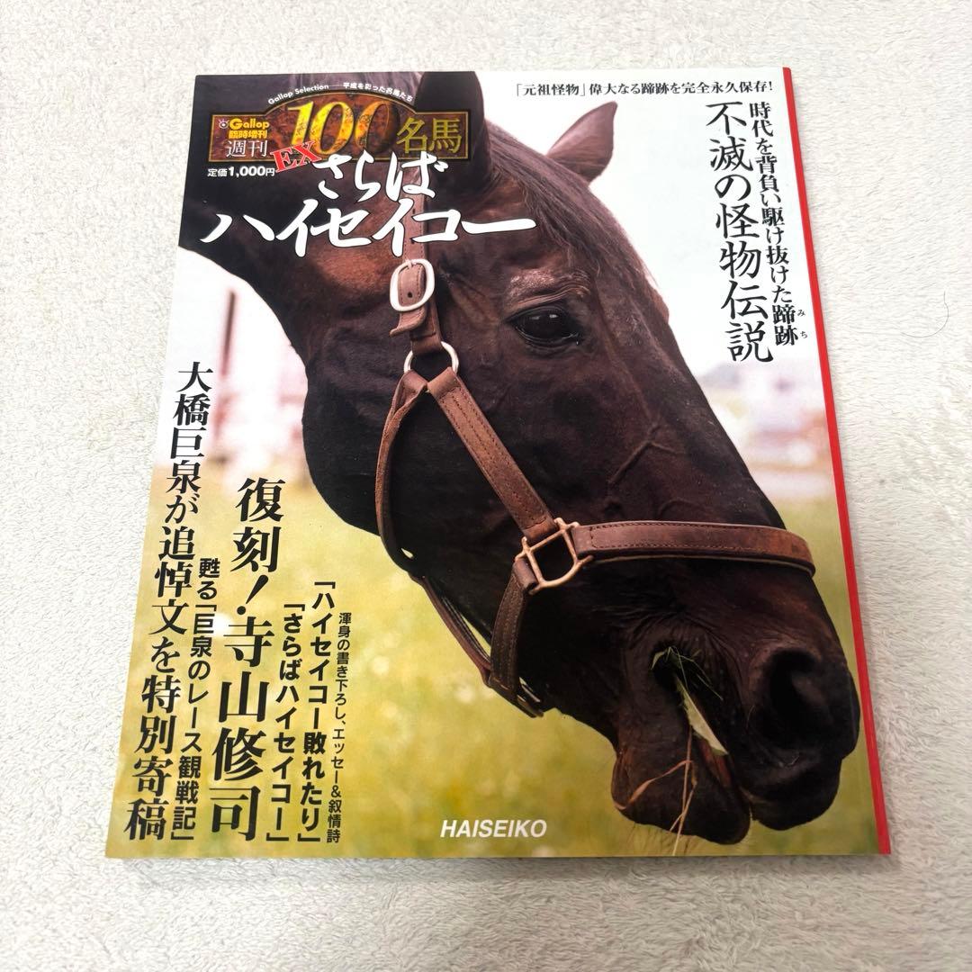 極稀少／美品】Gallop臨時増刊 週刊100名馬 EX.1さらばハイセイコー