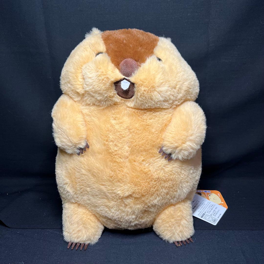 マーモットのもっとっと JB アー太郎 はまもと もっとっと ぬいぐるみ