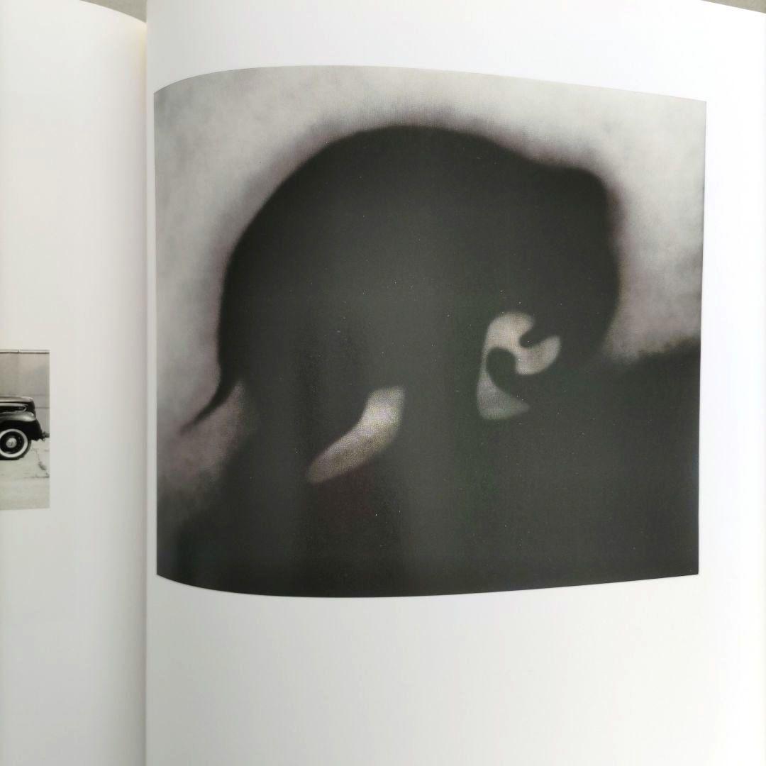 EDWARD RUSCHA /カタログ・レゾネ 絵画 第3巻1983-1988年 - メルカリ