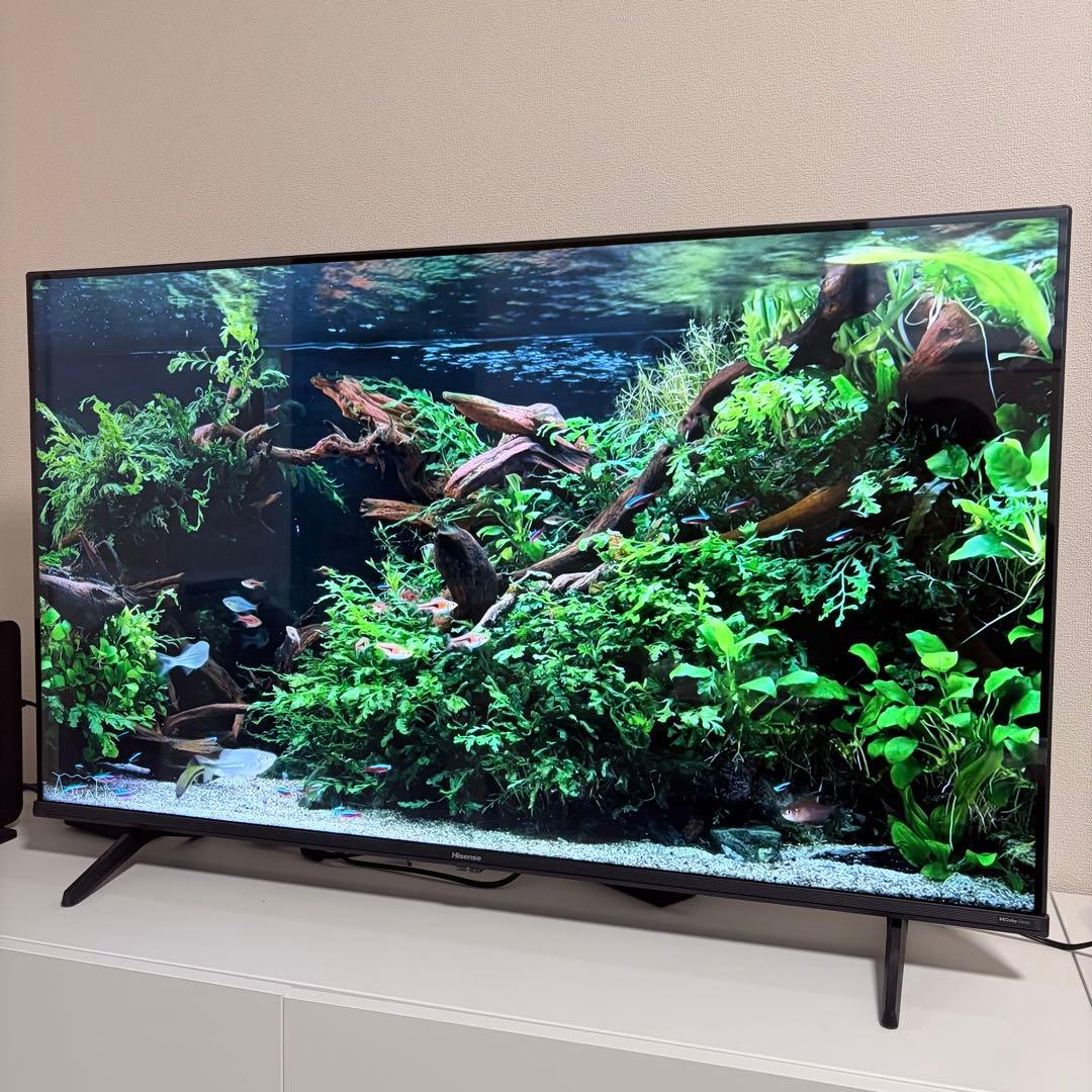 Hisense 43E6K 43V 4K 液晶テレビ ハイセンス（HISENSE） 43E6K 43V型4Kチューナー内蔵4K対応液晶テレビ