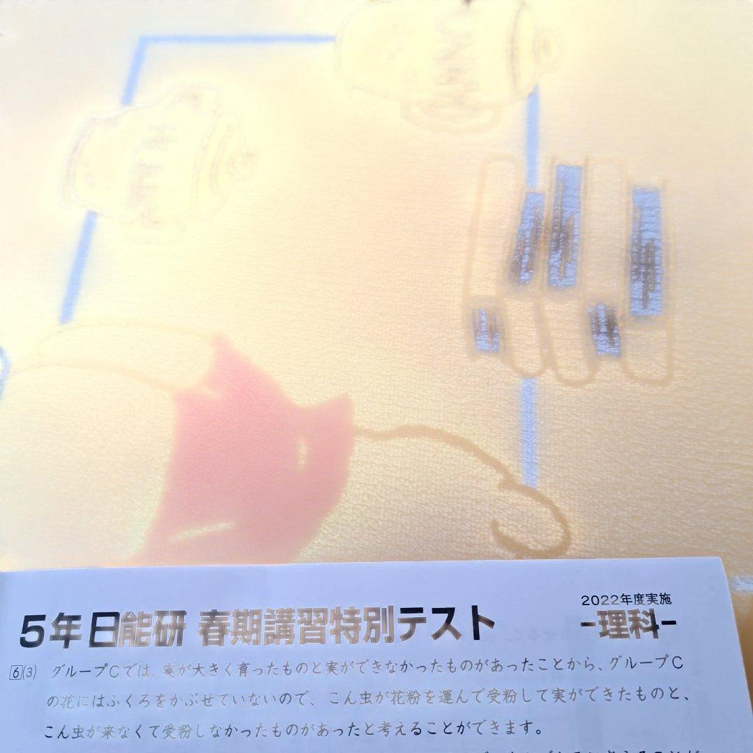 2022年 日能研 5年生 春期講習特別テスト - メルカリ