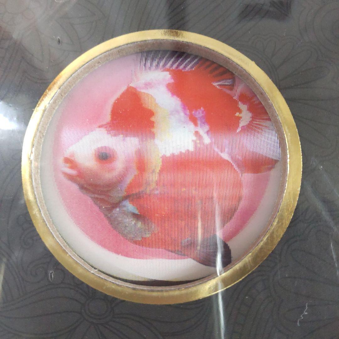 未開封新品】シュリンク有 中国金魚図鑑・専門書 - メルカリ