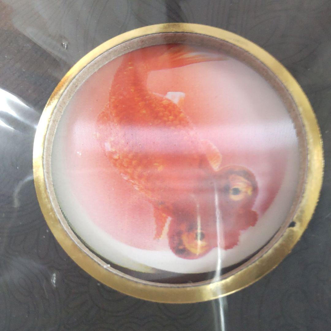 未開封新品】シュリンク有 中国金魚図鑑・専門書 - メルカリ