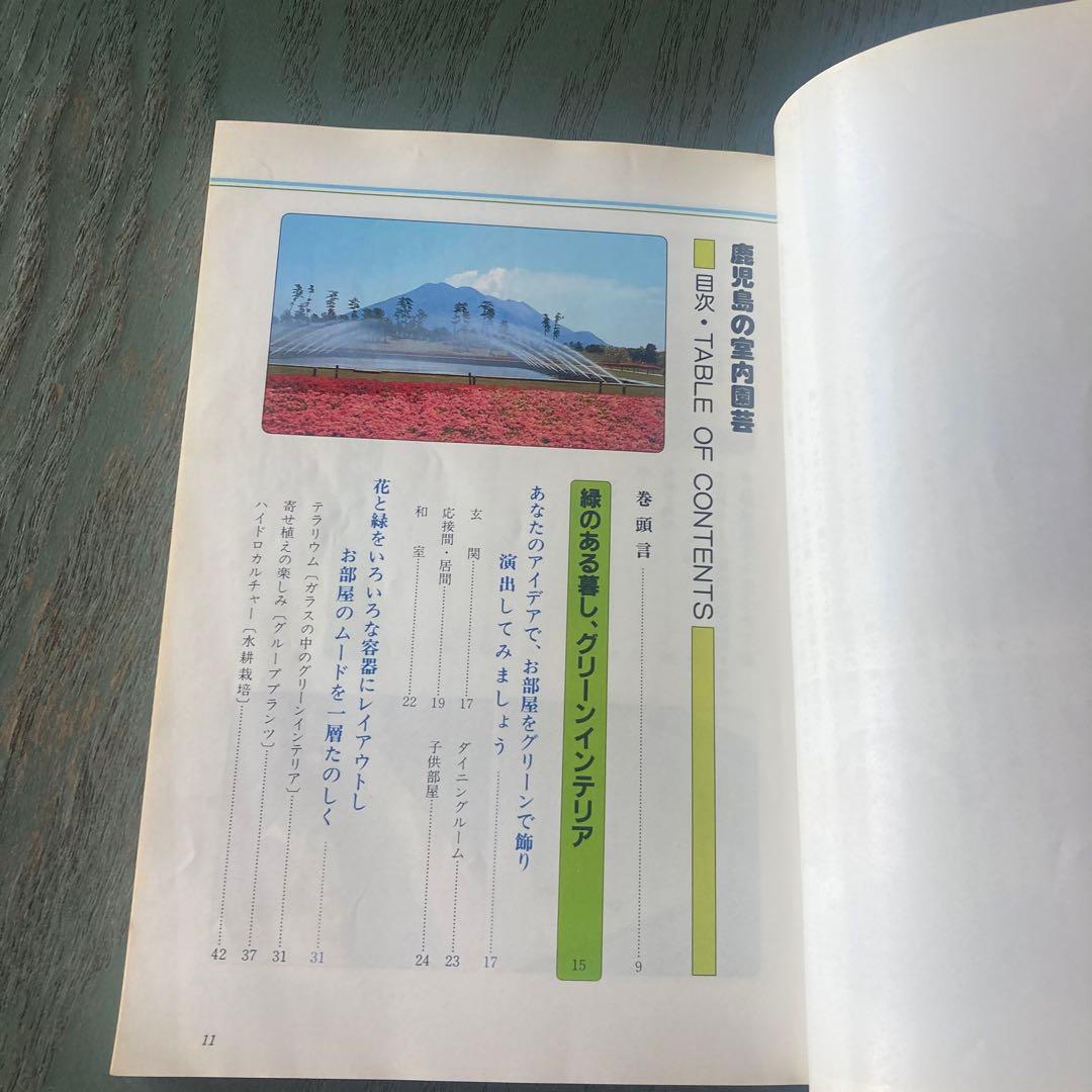 鹿児島の室内園芸 新しい園芸の楽しみ方 (鹿児島の園芸百科シリーズ