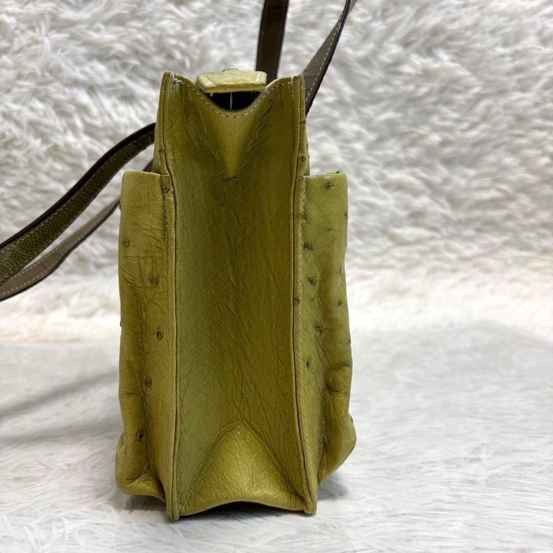 希少☆アンクジェット パイソン オーストリッチ ハンドバッグ グリーン