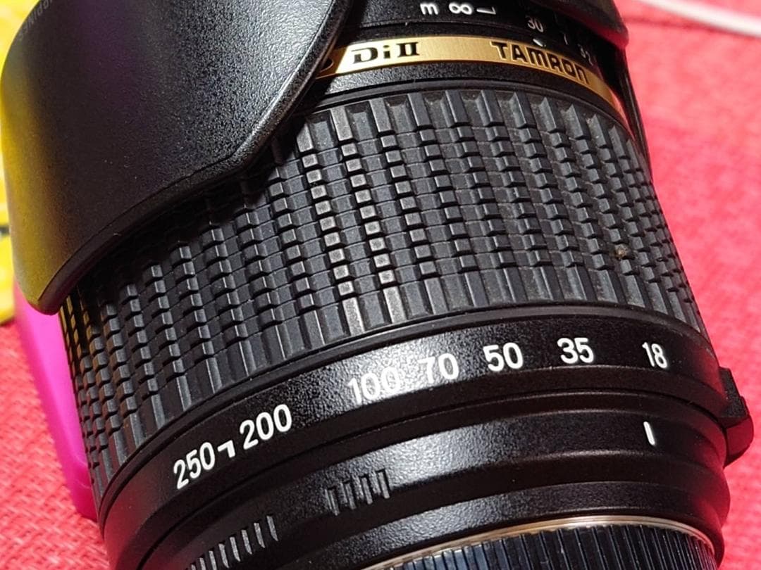 タムロン AF18-250mm F/3.5-6.3 Di IIニコン用 A18N