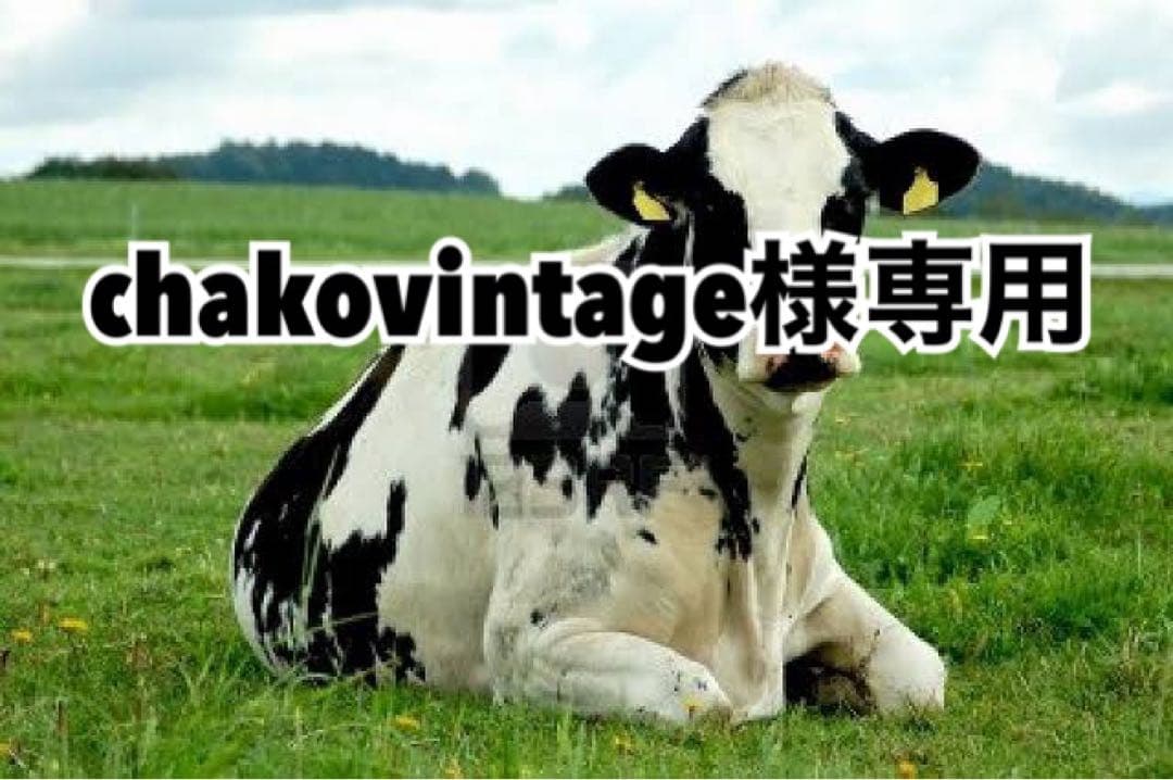 グレー30、パープル30 COOLMAX Chino Field Work Pants(30(MEN) AH/アスファルトグレー): THE