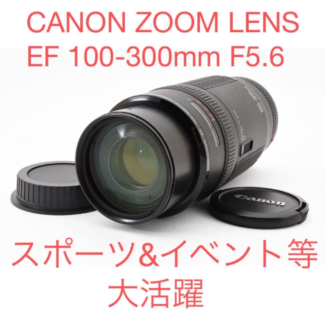 迫力300㎜☆CANON ZOOM LENS EF 100-300mm F5.6 Canon EF 100-300mm f/5.6L Lens Review | ePHOTOzine
