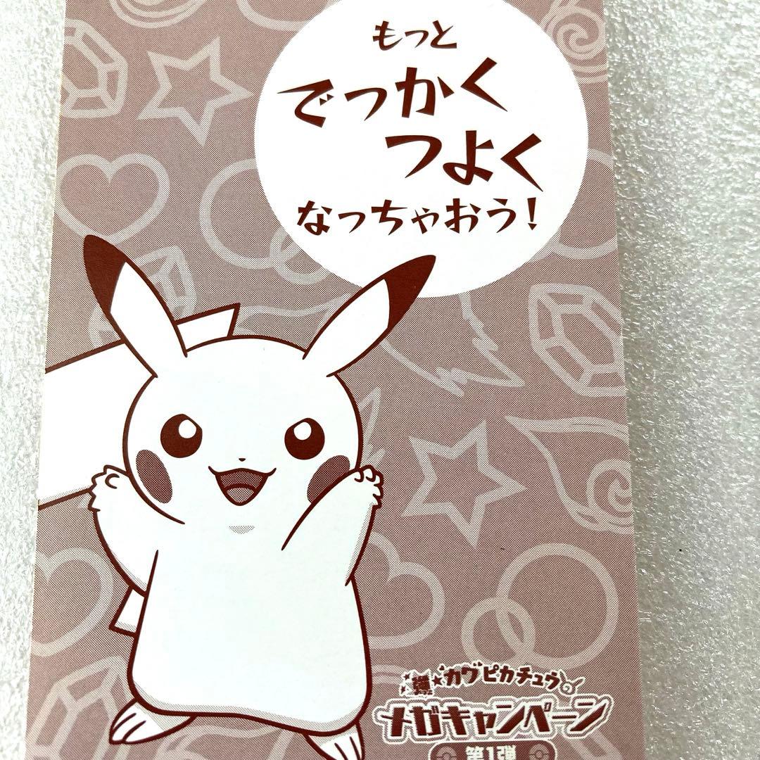 ポケモンセンター ポンチョを着たピカチュウ 名刺カード メガ