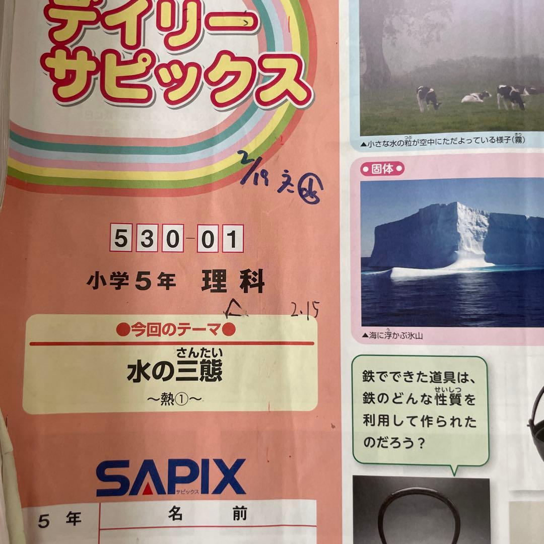 SAPIX理科 5年生テキスト1年分 2024年版 サピックス - メルカリ