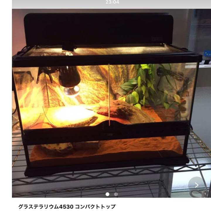 グラステラリウム4530 コンパクトトップ45 - メルカリ