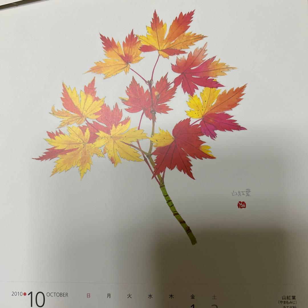 値下げ 水彩画 木製フレーム付き 外山康雄 原画 越の小貝母 名刺