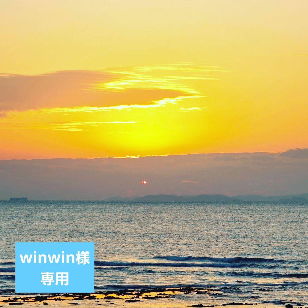 シャンプー winwinCD 日本限定品❗️ SHAMPOO｜シャンプー 500ml コーラの香り | crews99