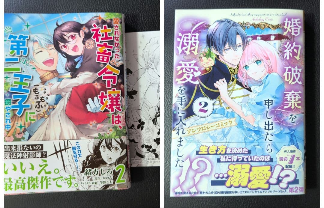 しらす様専用】婚約破棄を申し出たら溺愛を手に入れました