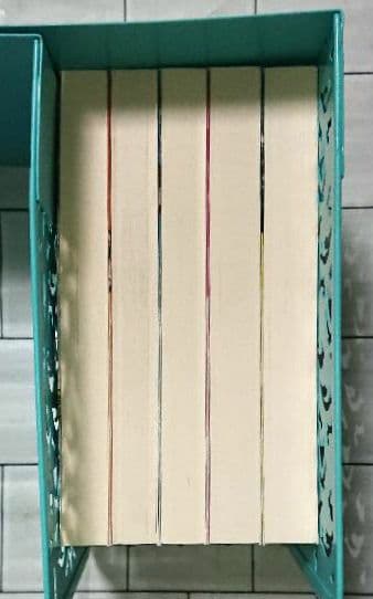 まとめ】文庫「ドS刑事(デカ)」5冊セット - メルカリ