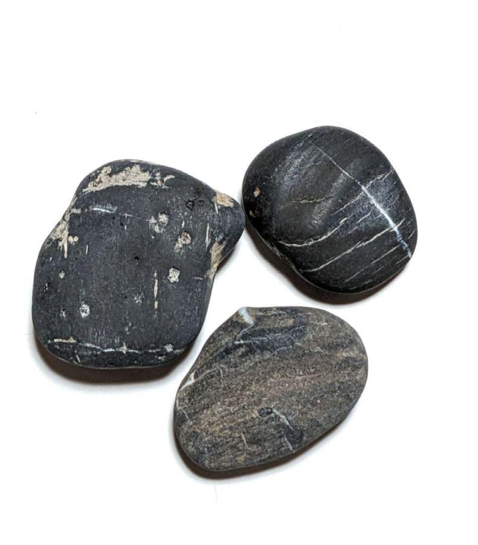 青森県産 津軽錦石 珪化木 木化石 原石 まとめ売り 限定出品 500g