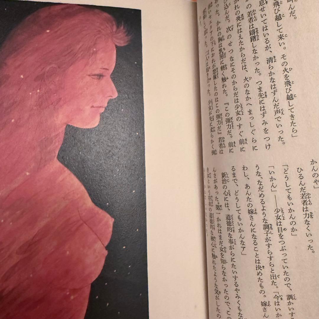 2220様感謝‼️大人も読みたい‼️小学館　少年少女世界の文学全集　全30巻初版