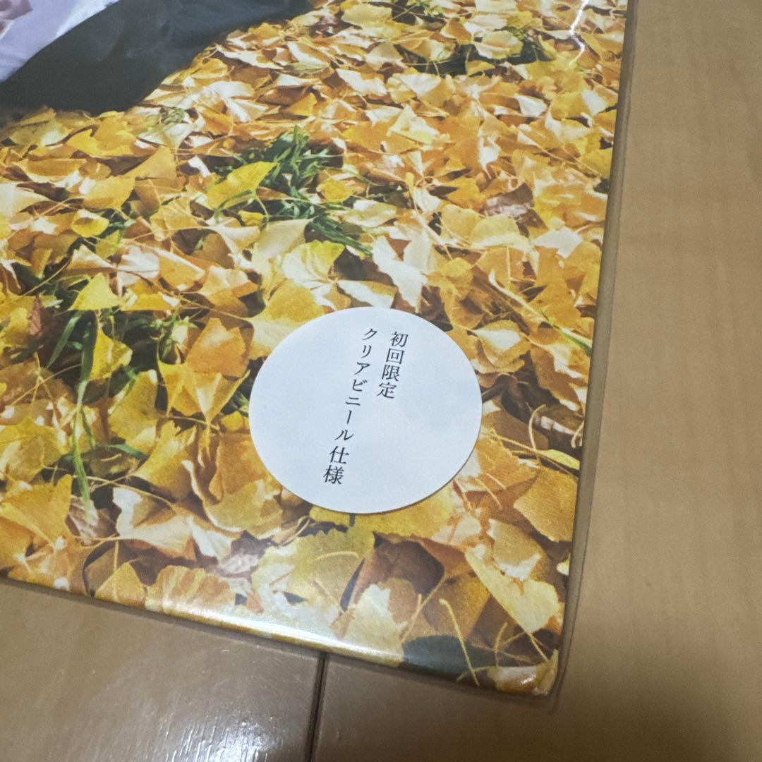 銀杏 ゴイステ LP15枚セット - メルカリ