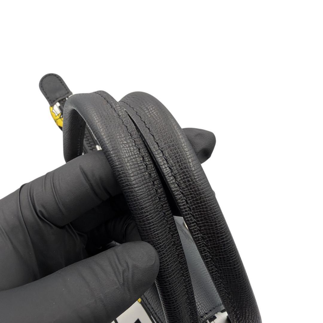 希少 ロンシャン ポケモン ピカチュウ ハンドバッグ S ルプリアージュ