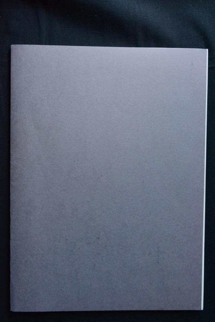 【Irina Ionesco：Le Divan. - portfolio-.】