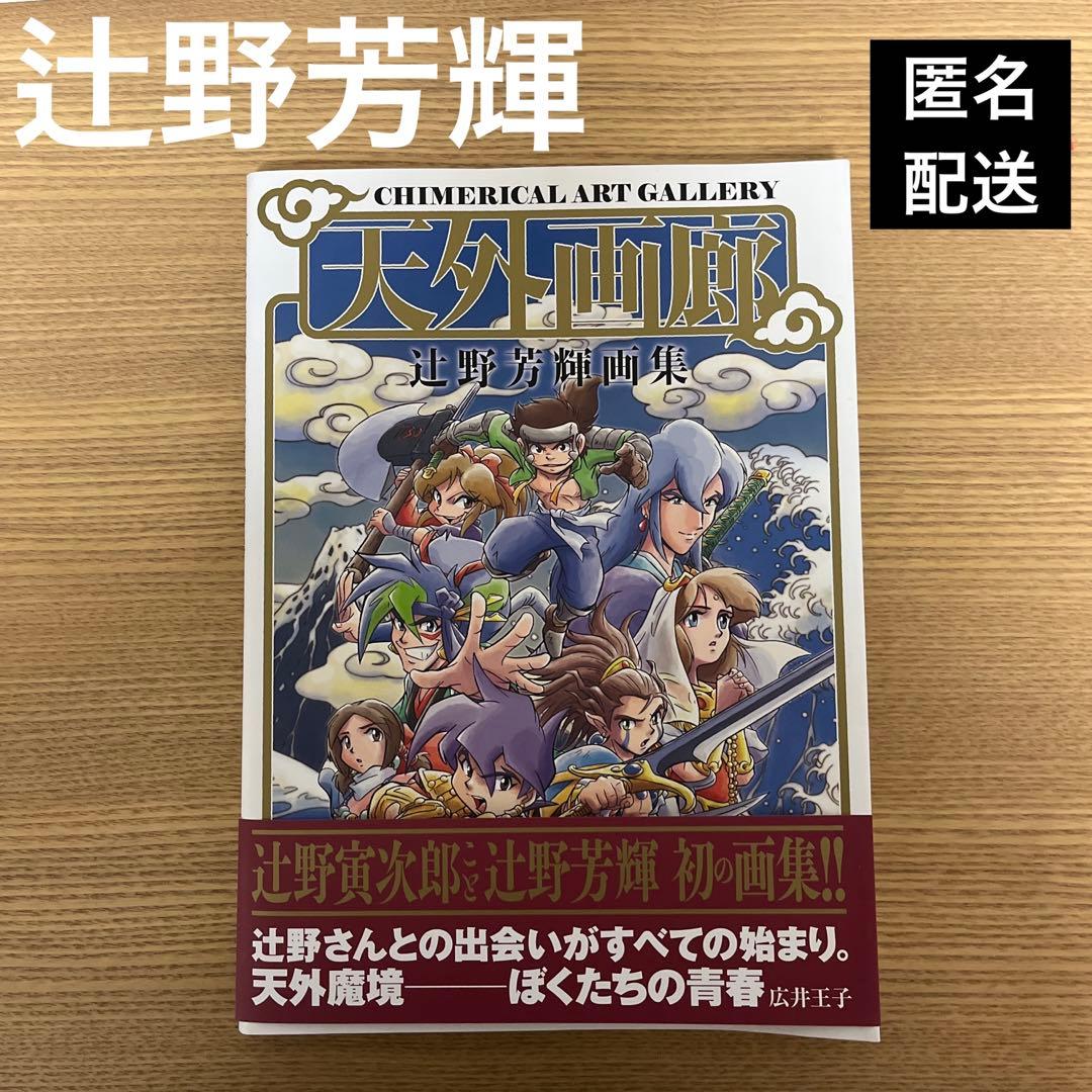 天外画廊 辻野芳輝画集 - メルカリ