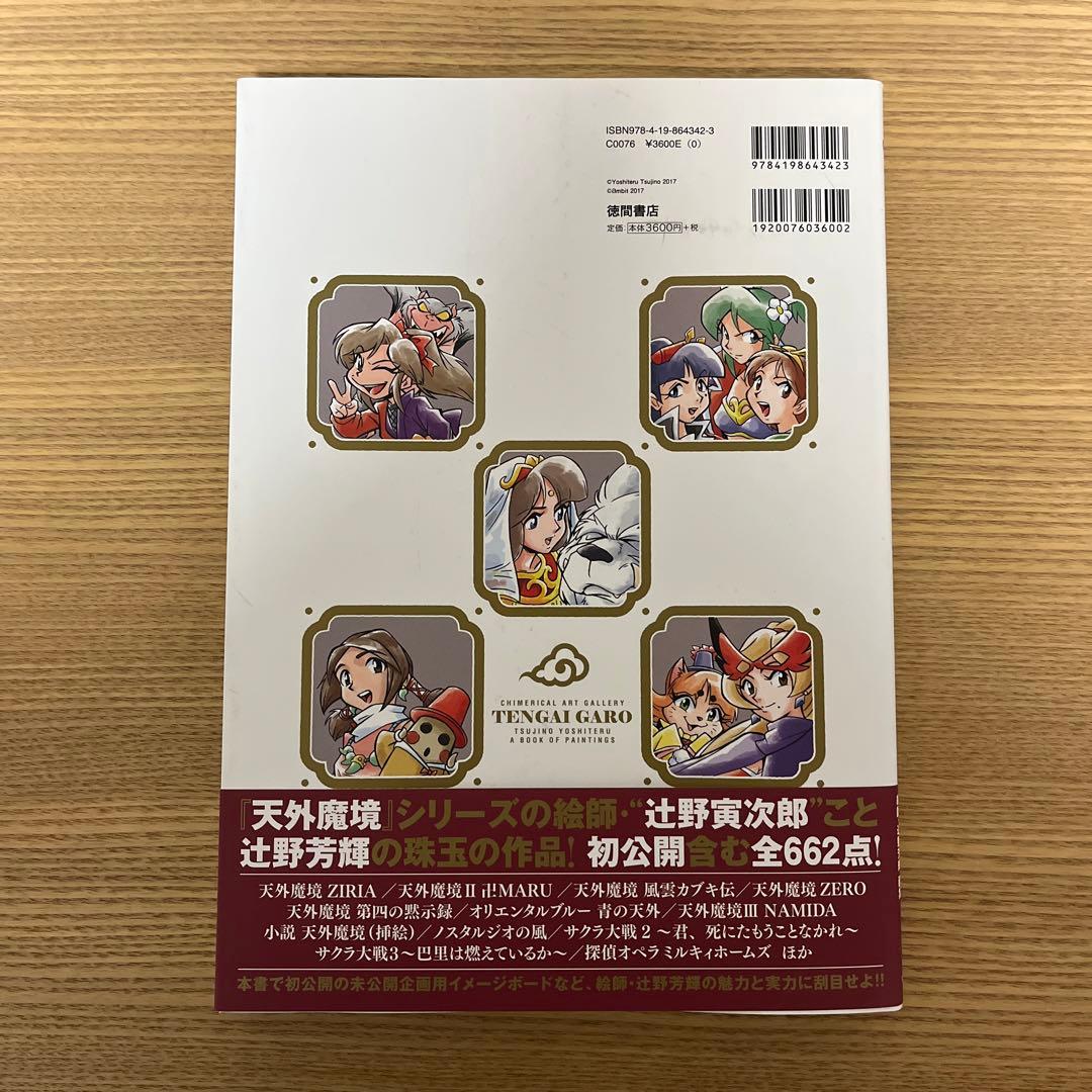 天外画廊 辻野芳輝画集 - メルカリ