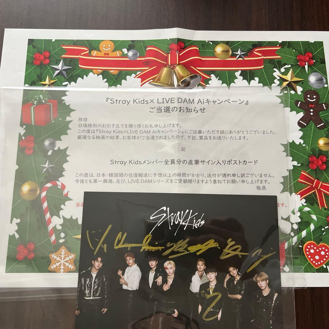 Stray Kids メンバー全員直筆サイン入りポストカード ソリクン DAM