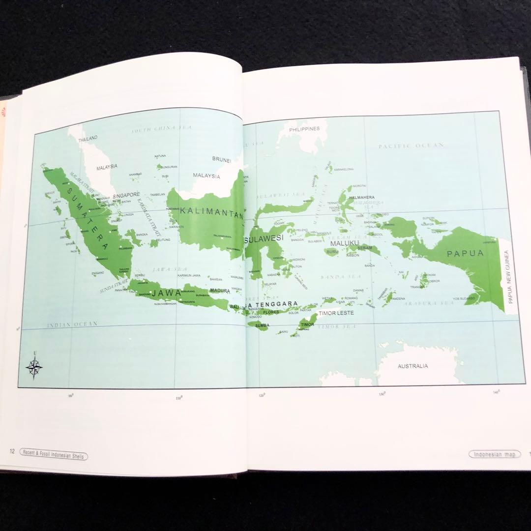 インドネシアの貝類と化石 図鑑「Indonesian Shells」 - メルカリ