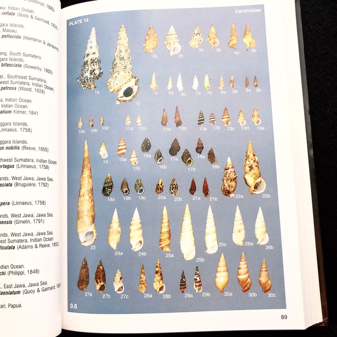 インドネシアの貝類と化石 図鑑「Indonesian Shells」 - メルカリ