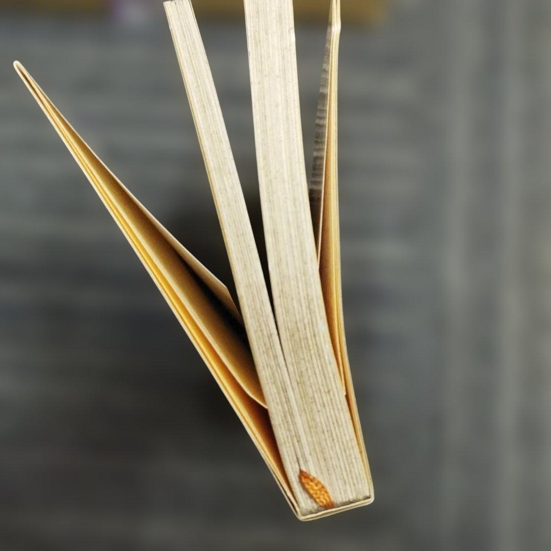 初版本】元気テレビ屋大騒ぎ! 井原高忠 本・雑誌・漫画 ビジネス・経済