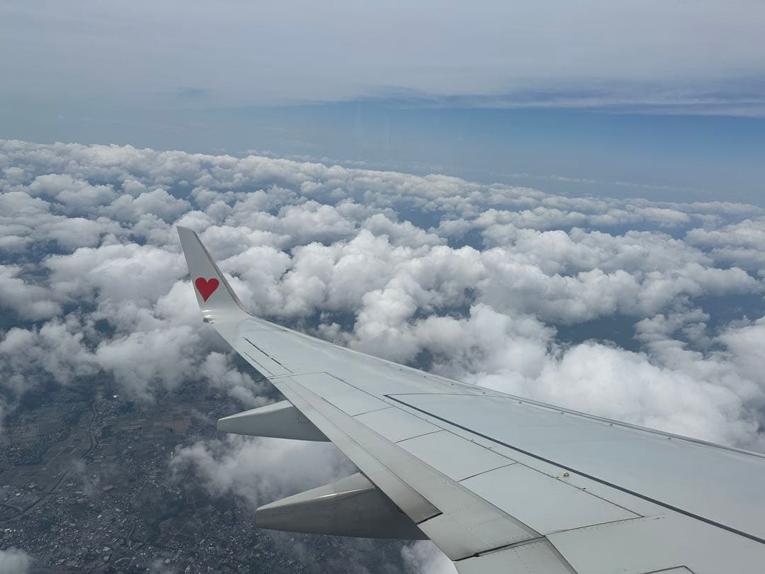 チャップ様IE navy NT223548-EmbroideredAnchor-