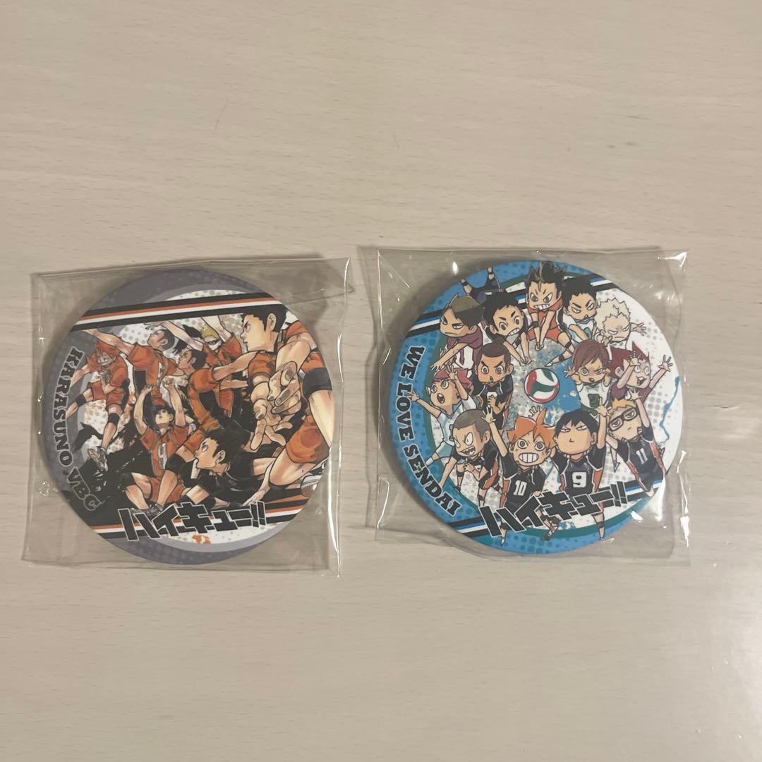 ハイキュー 原作缶バッジ 第五弾 烏野レア ちびレア 2点セット 匿名