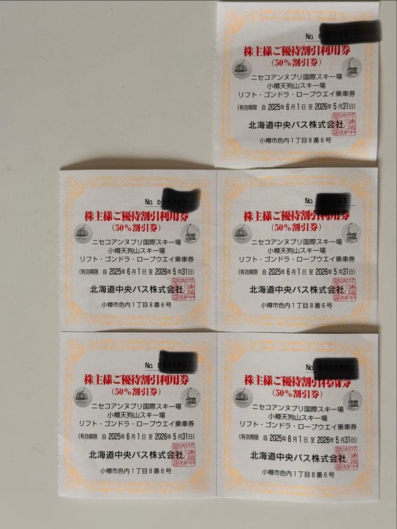 値下げ】ニセコアンヌプリ リフト50%割引券 5枚セット - メルカリ