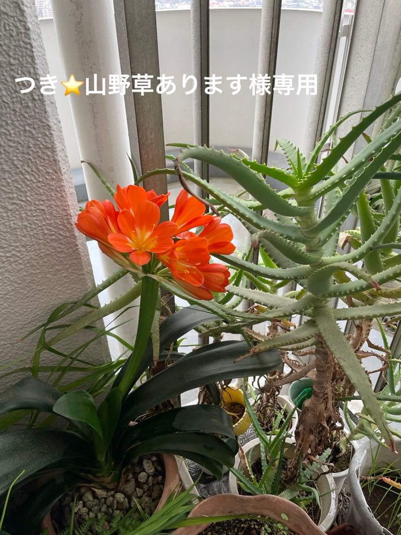 DHC 化粧品　スキンケアコスメ 7点セット まとめ売り DHCが3部門制覇！今人気の保湿コスメ12品【スキンケア・クチコミ