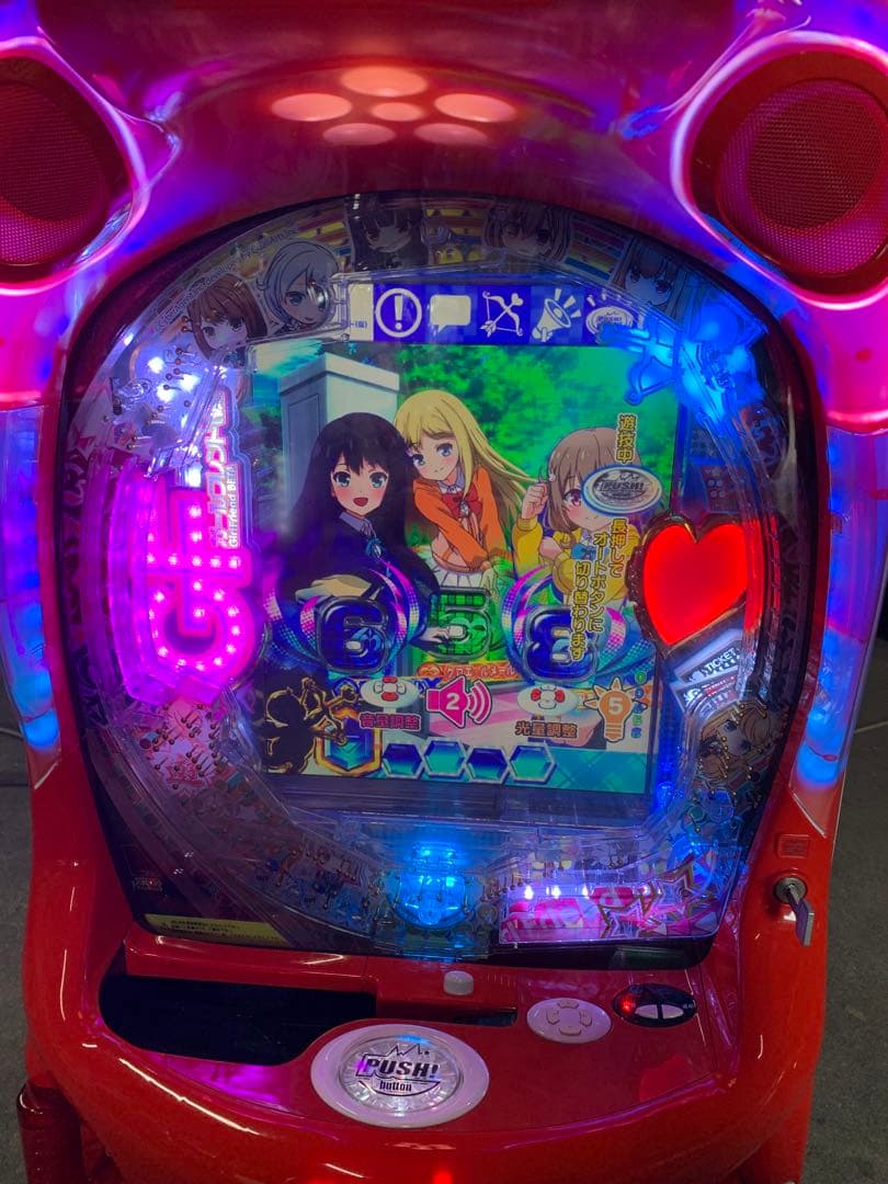 PAガールフレンド　無加工品　送料込み　自宅まで配送