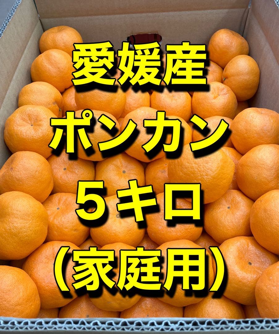 愛媛産 ポンカン 5キロ (家庭用) - メルカリ