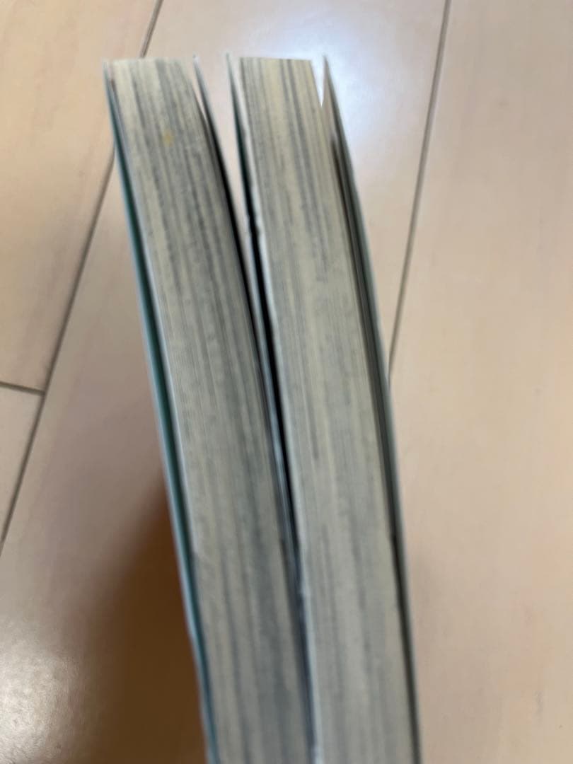 【中山 紗良】おいしい恋の作りかた + 帰ってきた初恋