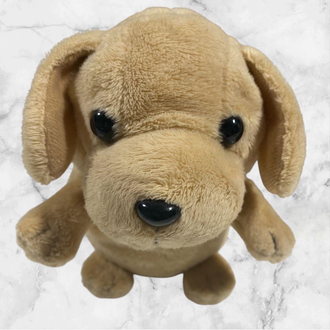 こえマネわんちゃん ぬいぐるみ 声真似 犬 - メルカリ
