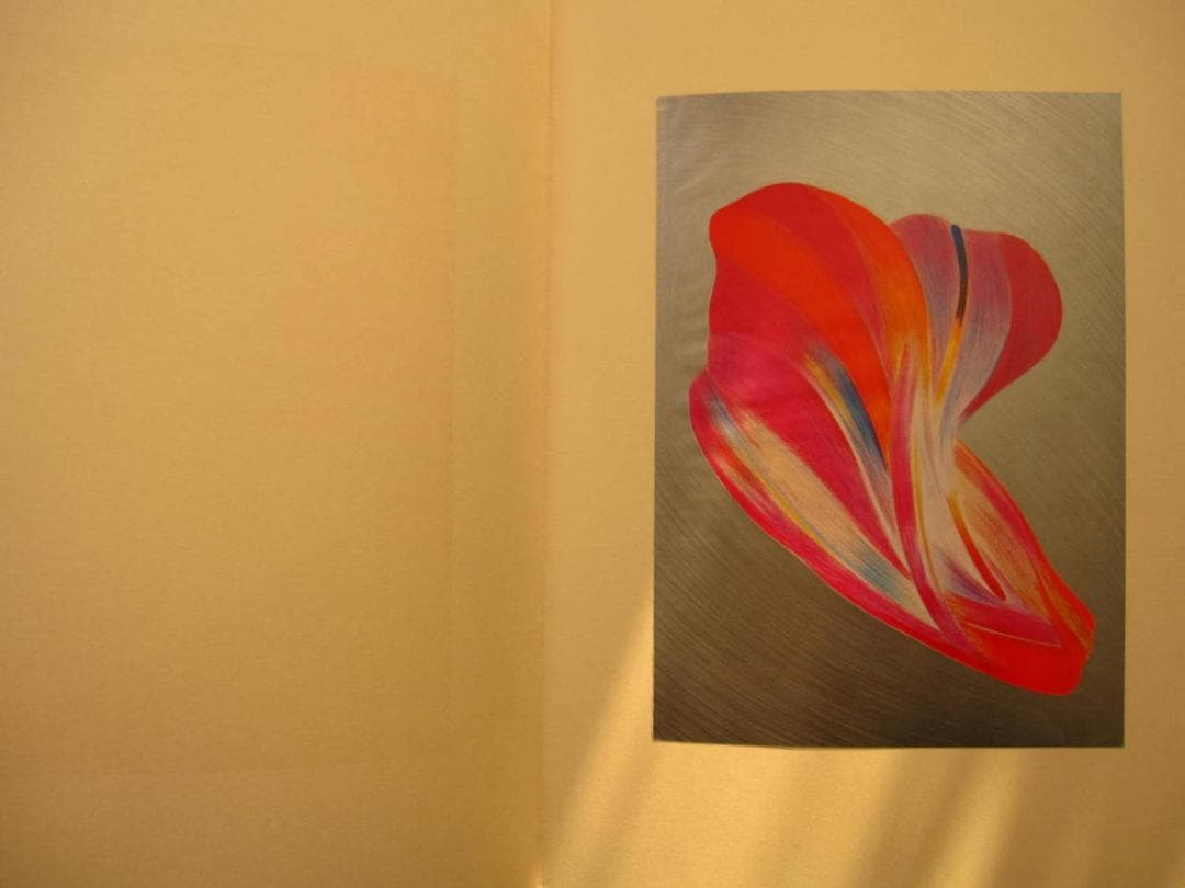 絵次元　谷川晃一　展翅箱　200部限定　肉筆画 一葉付き 直筆サイン　澁澤龍彦