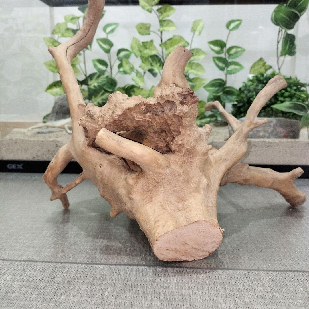 No.1157】シェルター流木 爬虫類レイアウト✫インテリア✫エアー