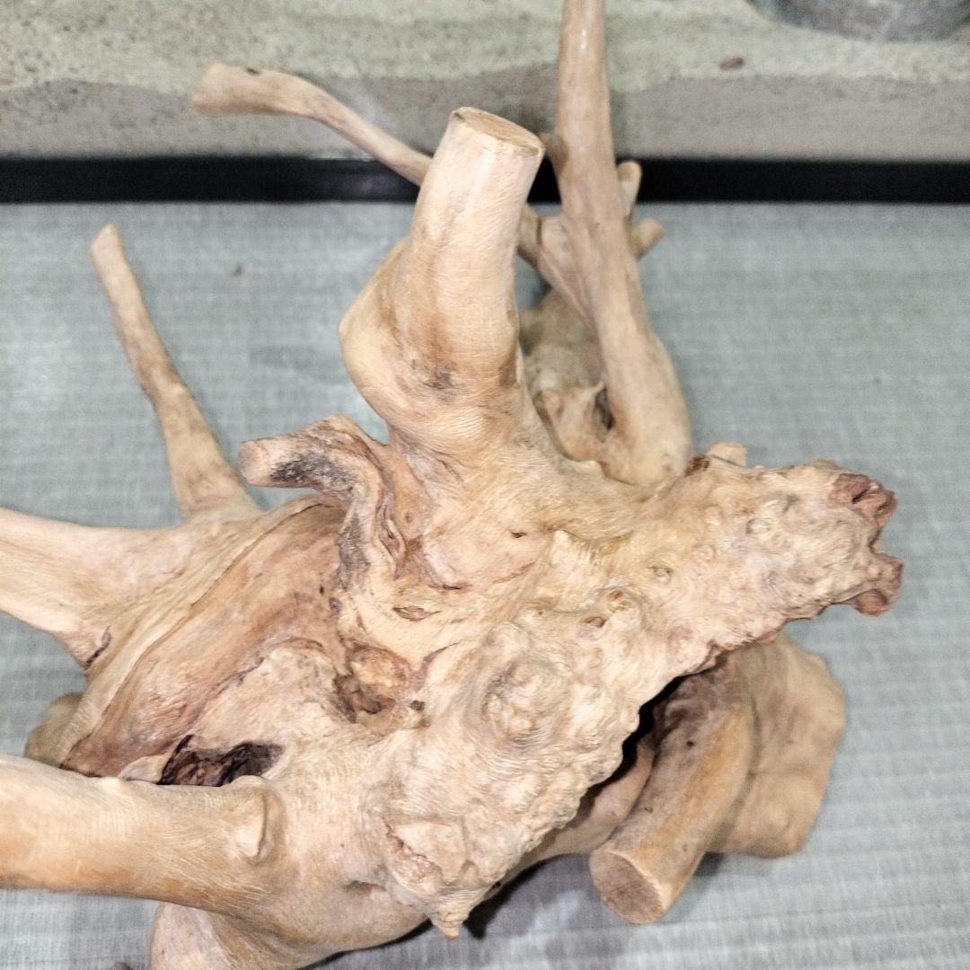 No.1157】シェルター流木 爬虫類レイアウト✫インテリア✫エアー