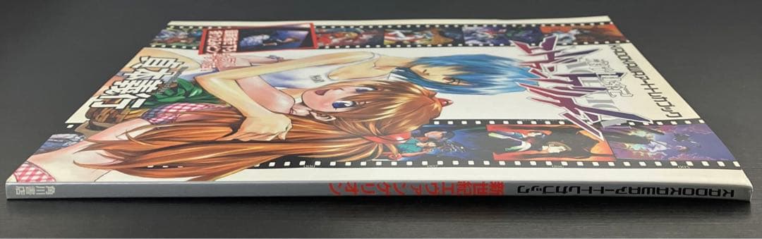 レア エヴァ アート トレカ ブック 新世紀エヴァンゲリオン 貞本義行