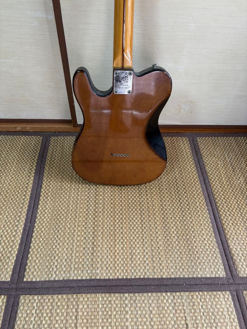 Greco Sparkle Sounds テレキャスター 1977年 - メルカリ