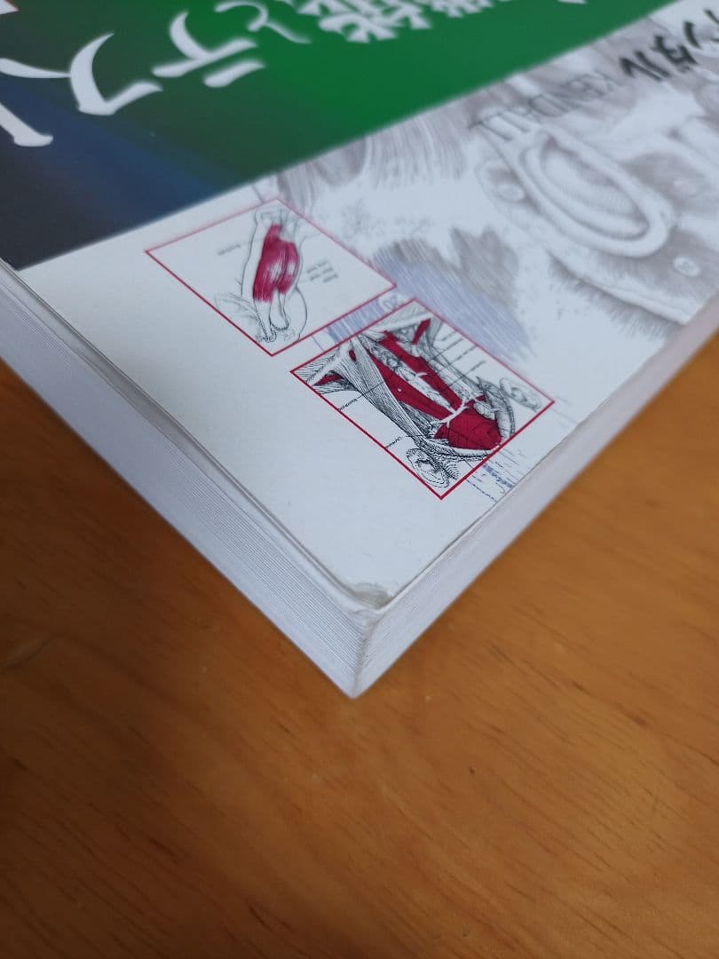 ケンダル 筋・機能とテスト -姿勢と痛み-