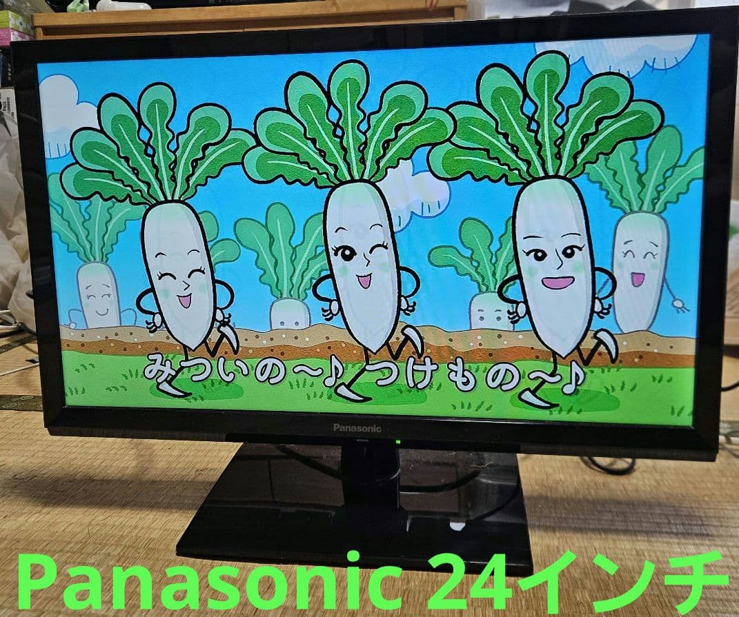 パナソニック Panasonic ビエラ TH-24G300 2020年製 地上・BS・110度CSデジタルハイビジョン液晶テレビ TH-24G300 [24V型