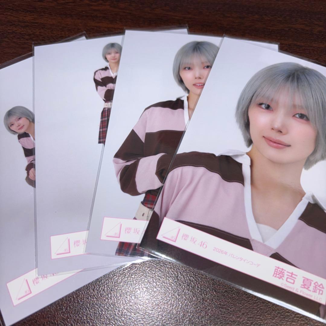 藤吉夏鈴 櫻坂46 2026 バレンタイン 生写真 4種コンプ - メルカリ
